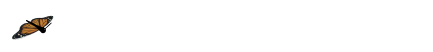如何设计一套有效的篮球协调训练计划_1